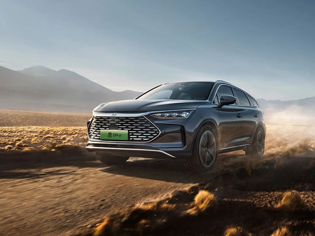 中國品牌占據了近半數的市場份額 中國品牌占據了近半數的市場份額